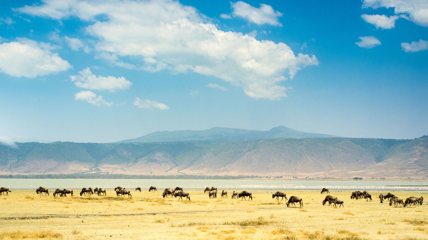 Férias em Ngorongoro