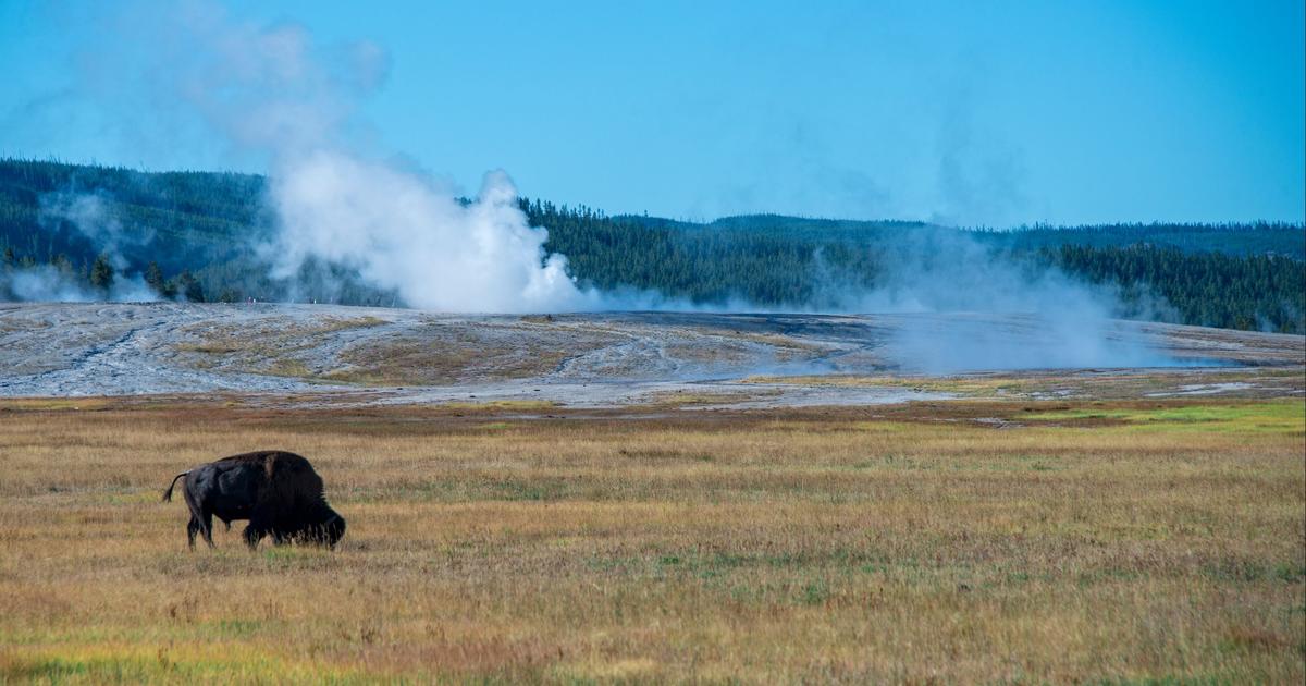 voyage yellowstone pas cher