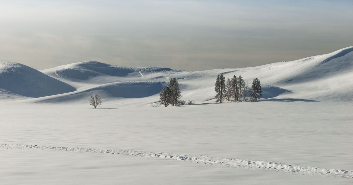 16 Best Hotels in West Yellowstone. Hotels from RM 89/night KAYAK