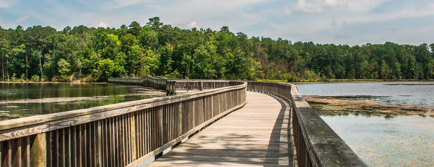 Car Rental Newport News from 19/day Search for Rental Cars on KAYAK