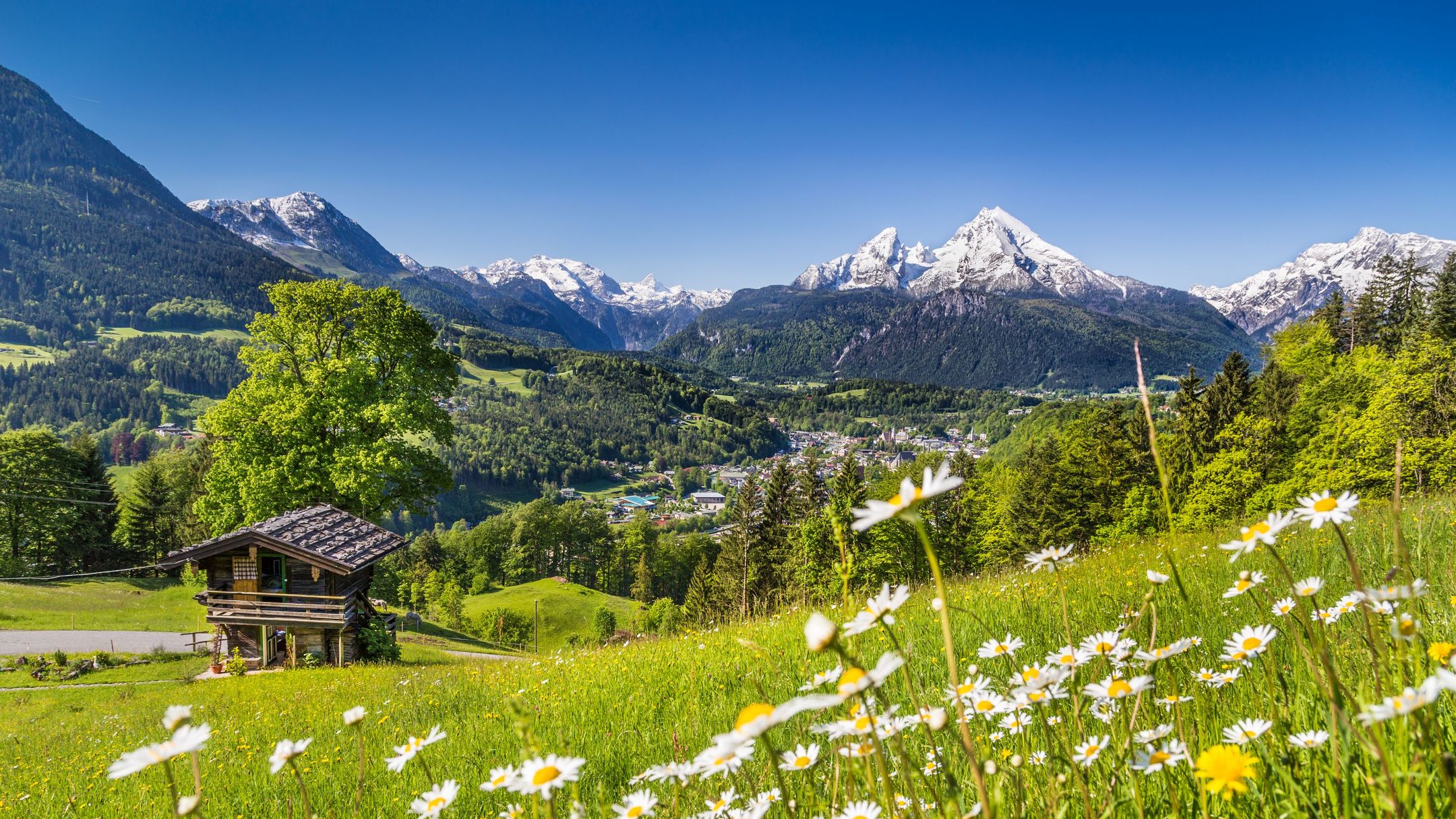 Alps Hotels: Compare Hotels in Alps from $90/night on KAYAK