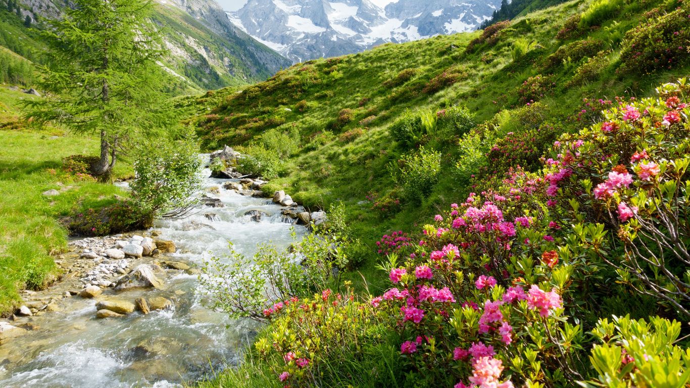 Vacations in Alps