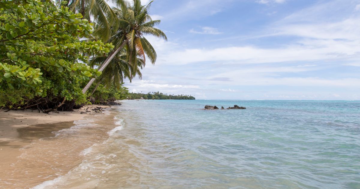 Find Tafatafa bed & breakfasts deals | momondo