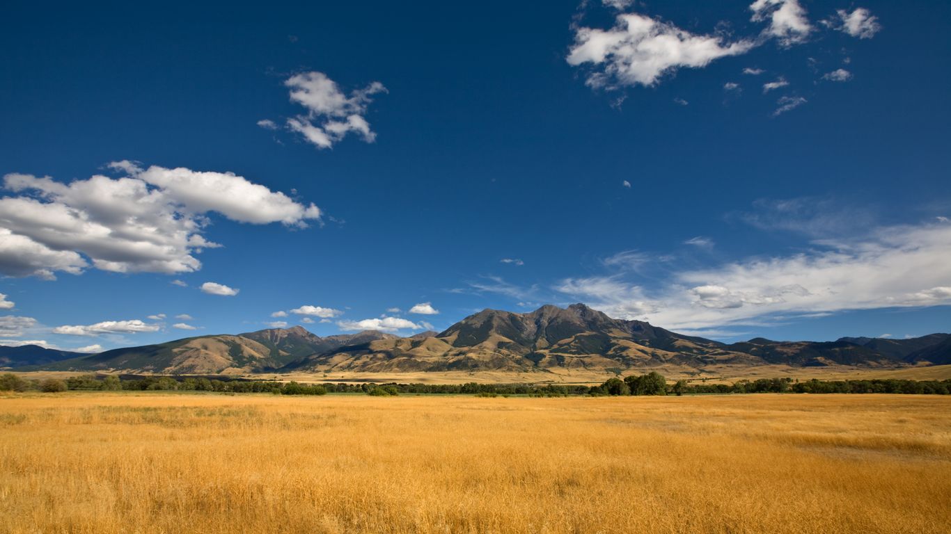 Montana Montana