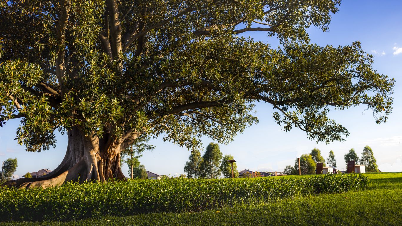 Hotels in Blacktown