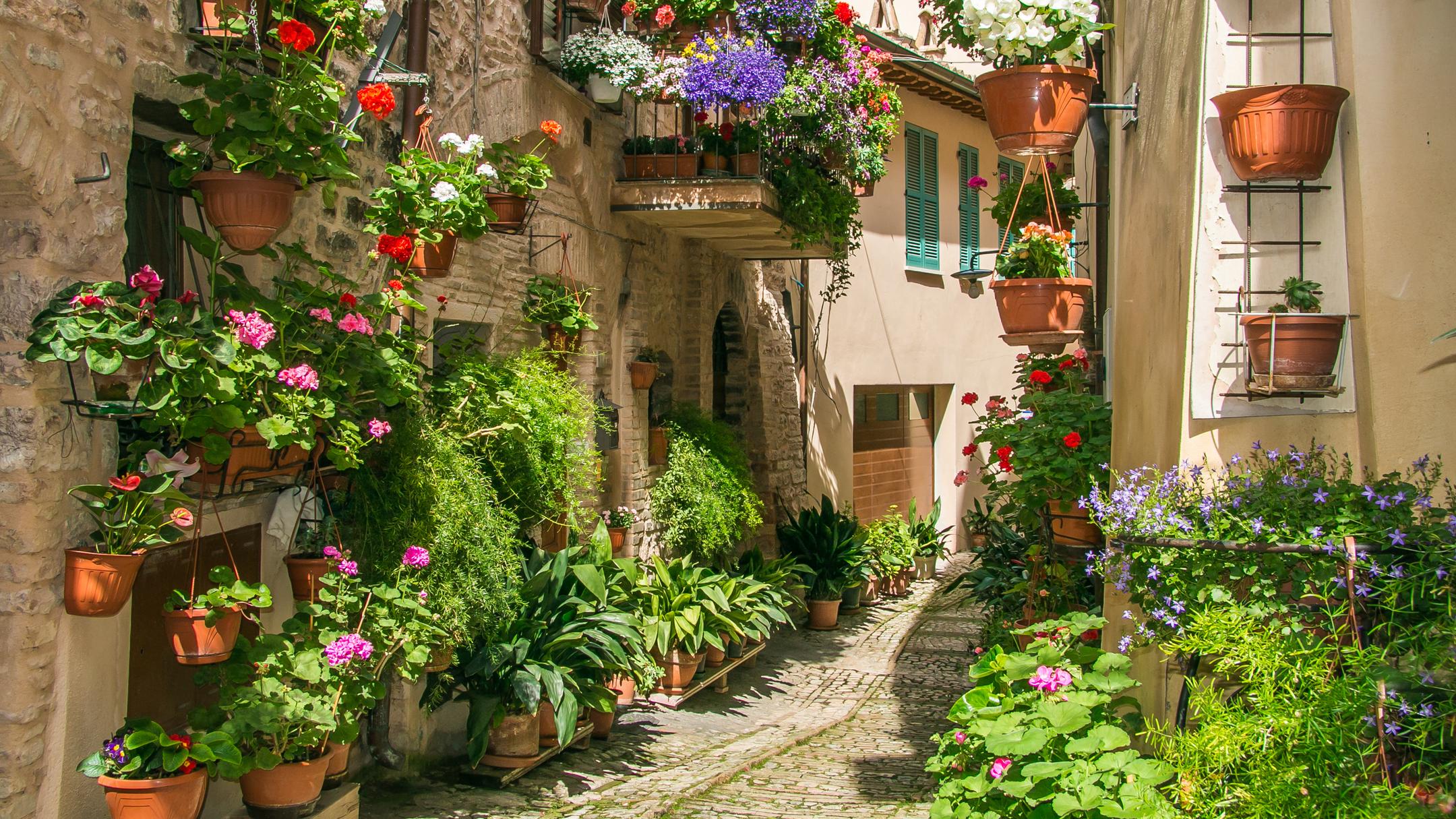 Spello Hotels 155 Cheap Spello Hotel Deals, Italy Spello Hotels 155 Cheap Spello Hotel Deals, Italy