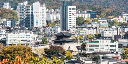 Cheap Car Rentals in Suwon, Gyeonggi-do from just $91 momondo