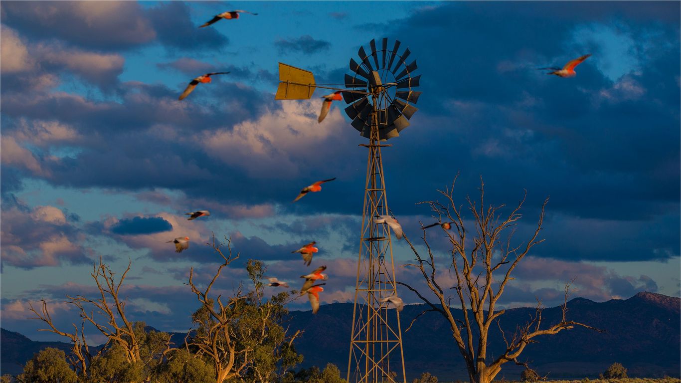 South Australia South Australia