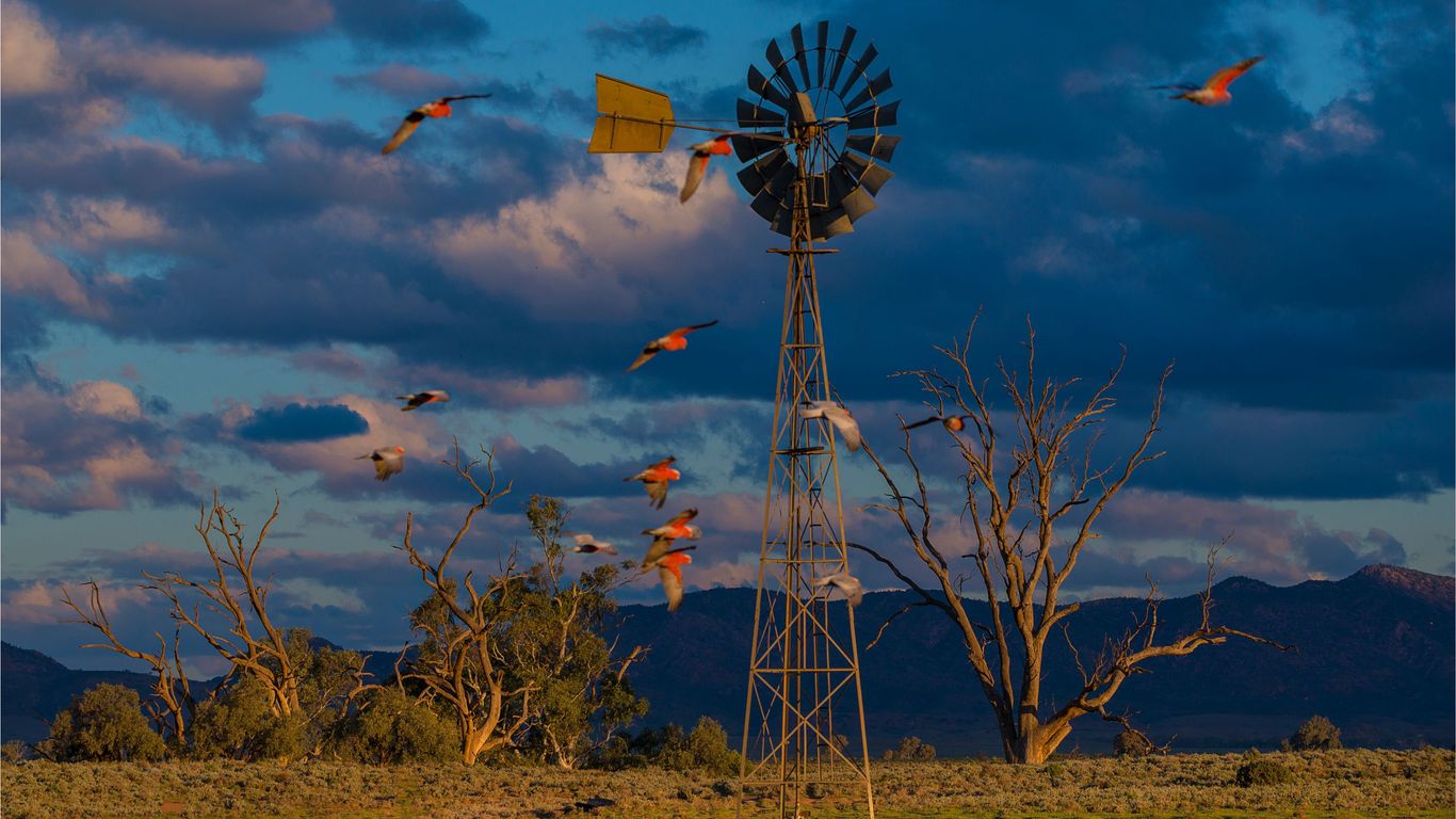 South Australia South Australia