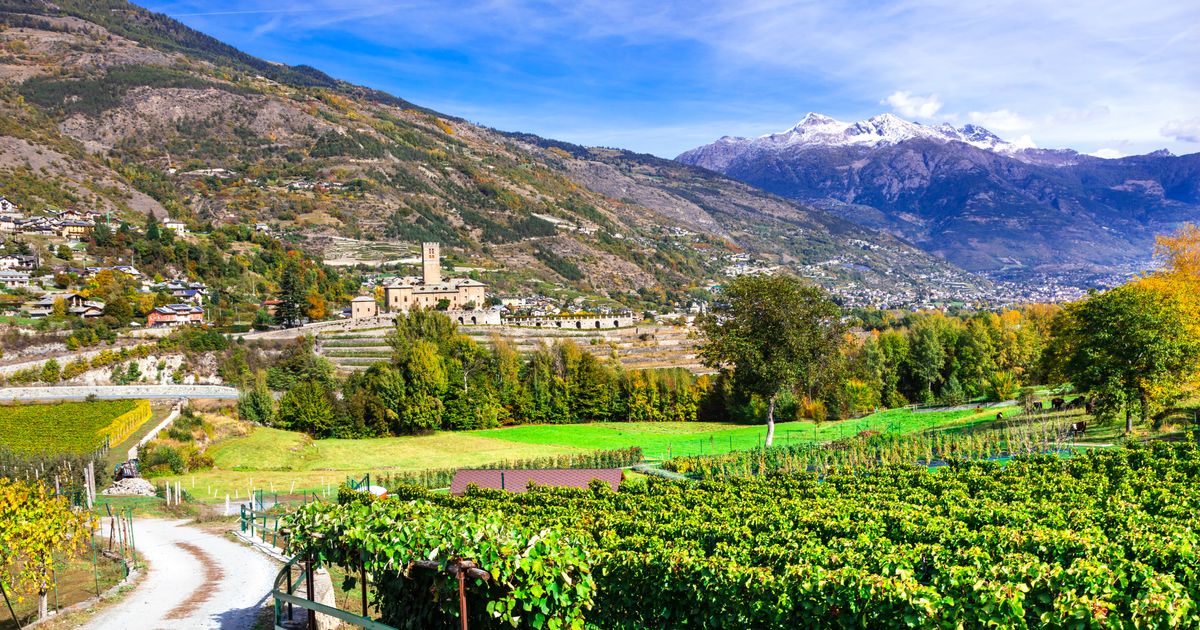 Sarre Travel Guide Sarre Tourism KAYAK