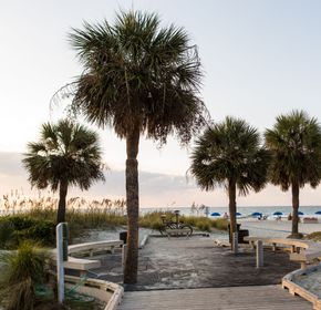 Coligny Beach