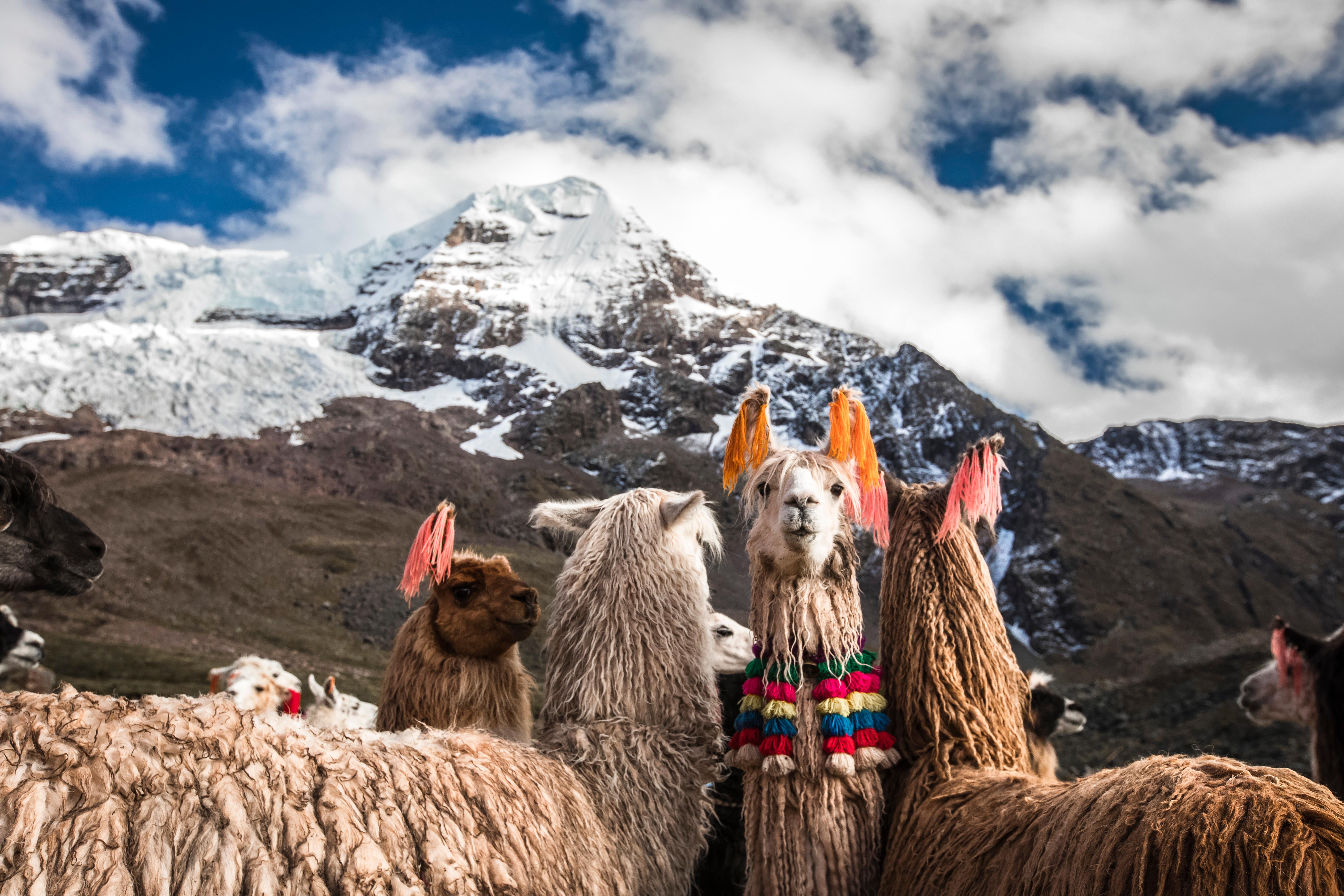 43 Cheap Flights from Lima to Cusco in 2024 momondo