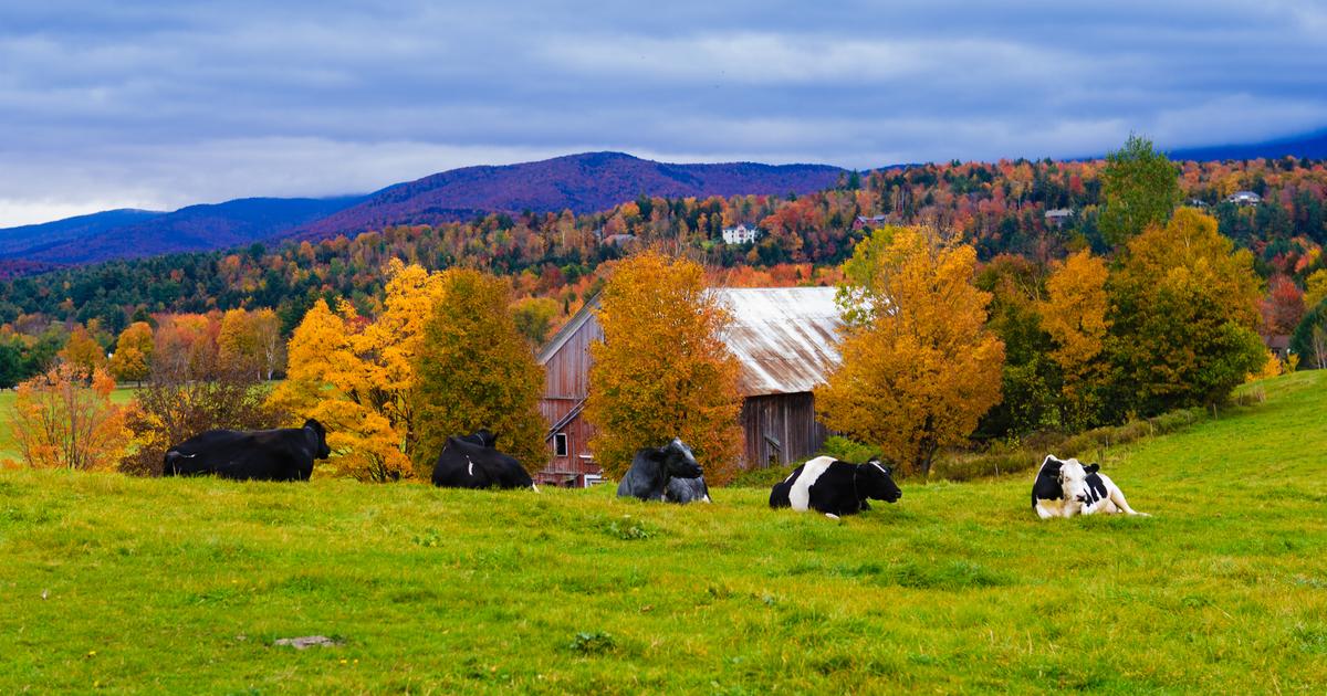 16 Best Hotels in Stowe. Hotels from $126/night - KAYAK