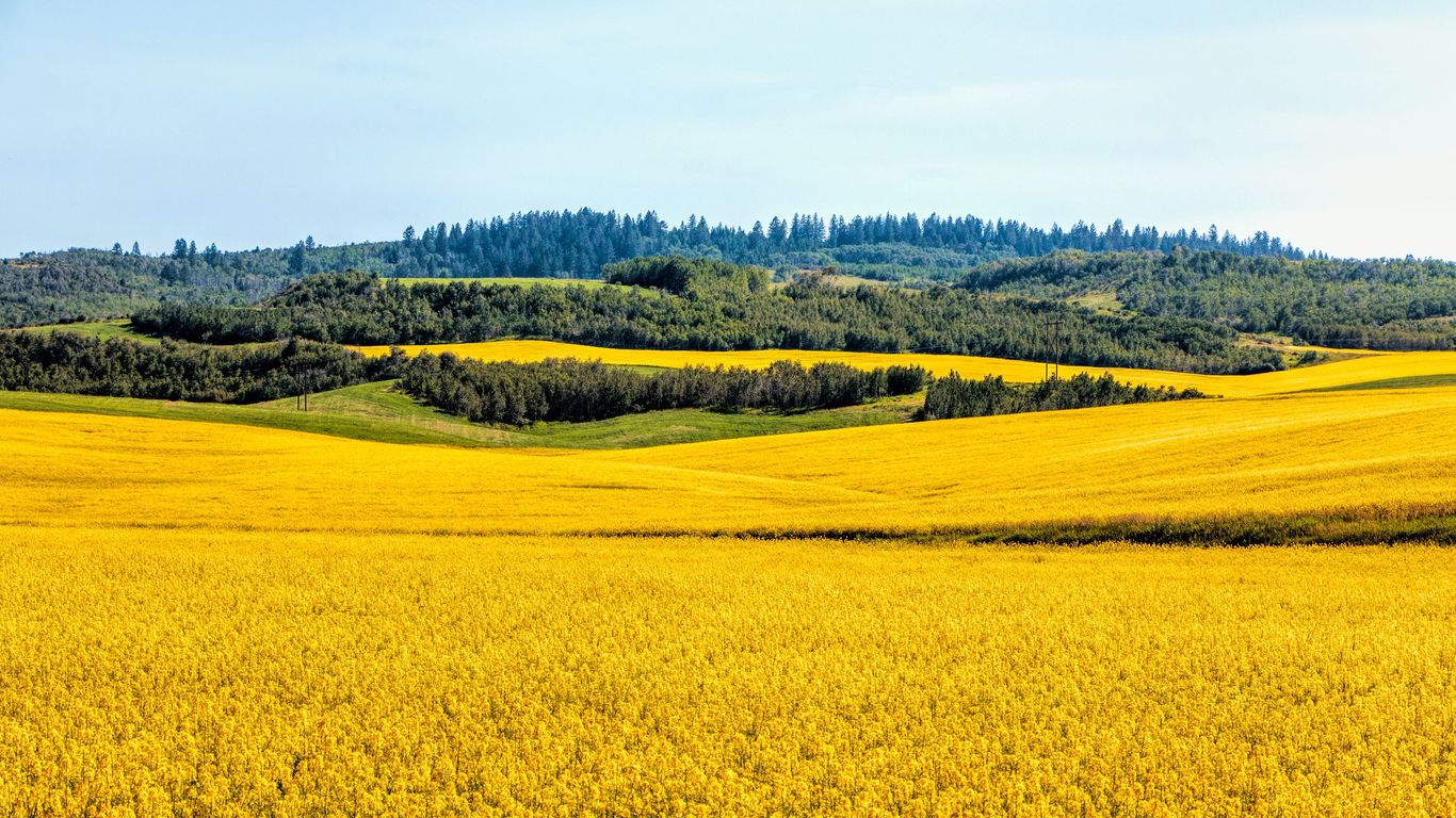 Idaho Idaho