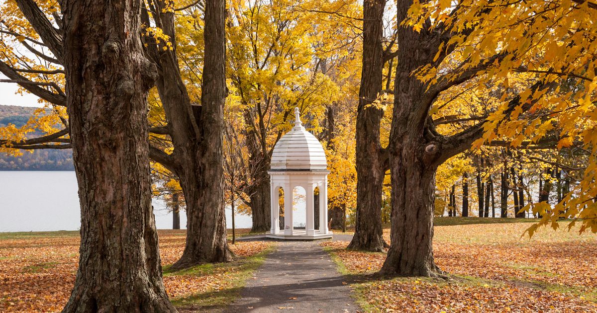 Tiket Murah ke Cooperstown (ALB) KAYAK