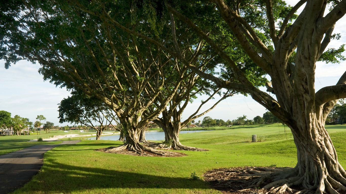 Vacances à Doral