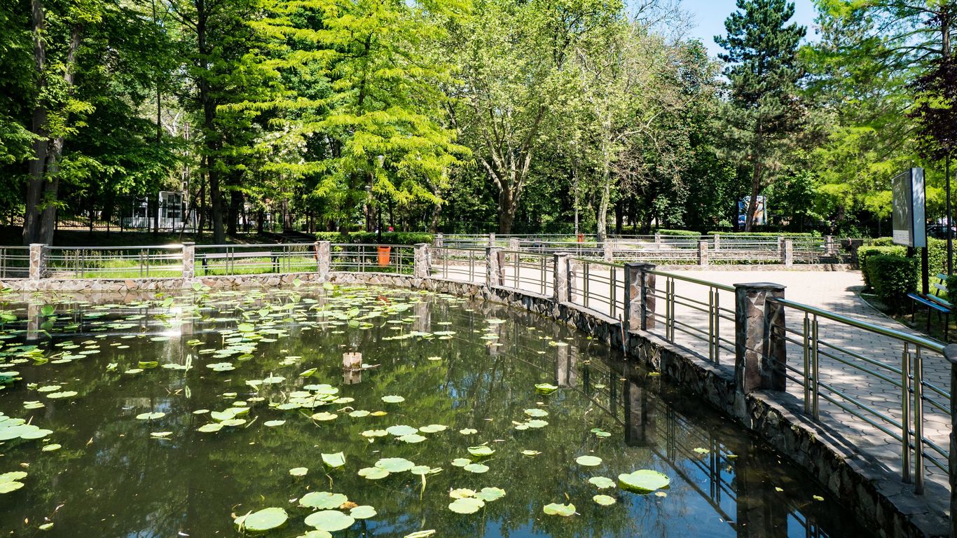 Hoteluri în Județul Bihor