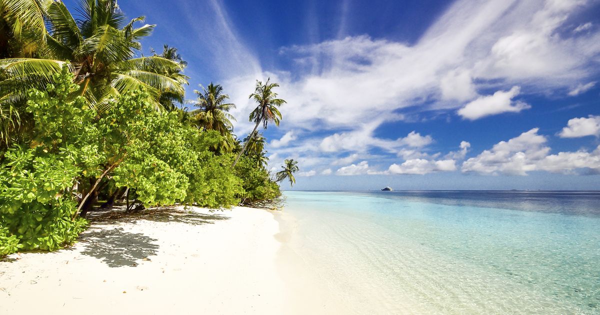 Green Island Travel Guide Green Island Tourism KAYAK