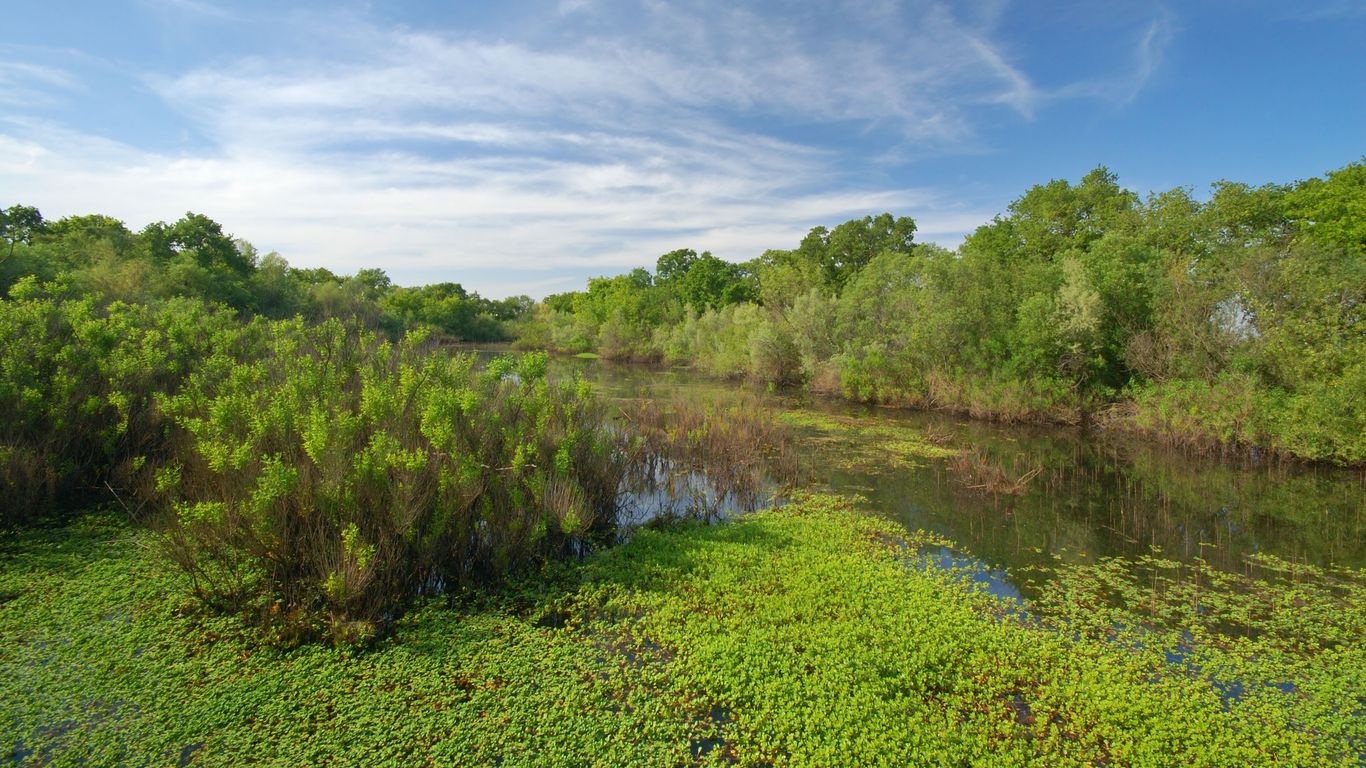 Férias em Elk Grove
