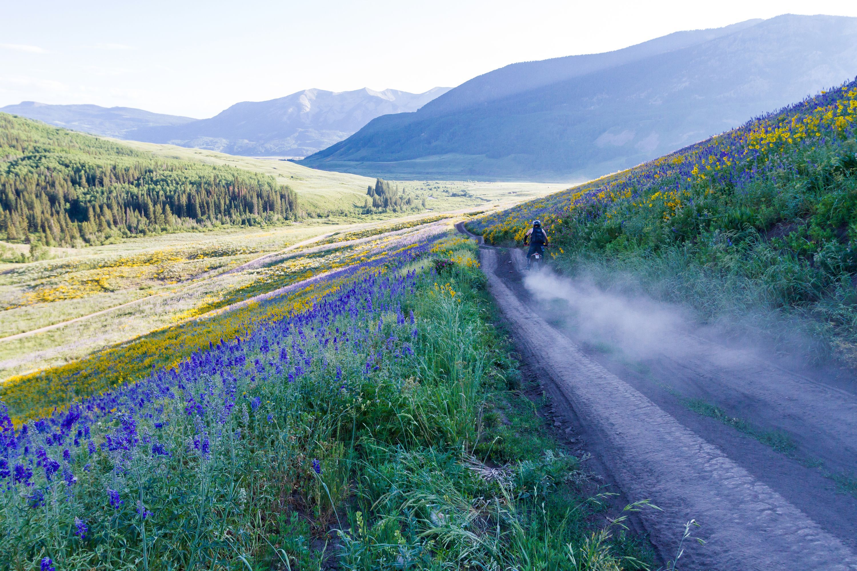 Find Flights to Crested Butte Cheapflights