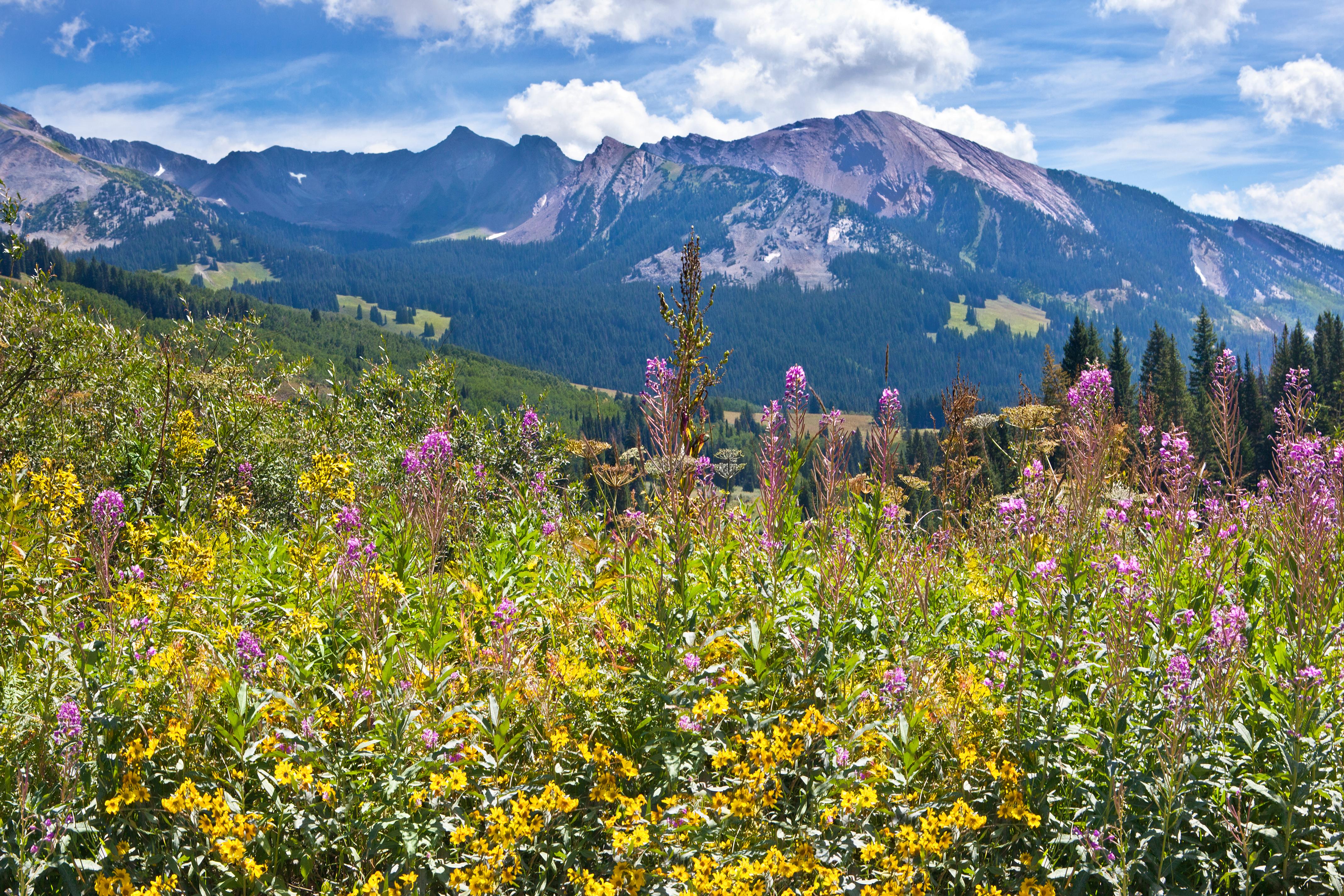 Hotels In Crested Butte Ab CHF 68 Nacht Auf KAYAK Suchen   A382a705 City 11401 16be657a075 