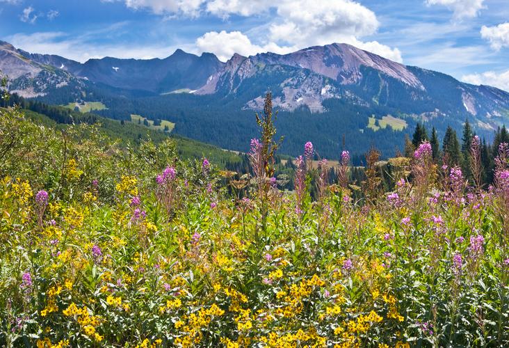 Hotels In Colorado Search For Hotels On Kayak