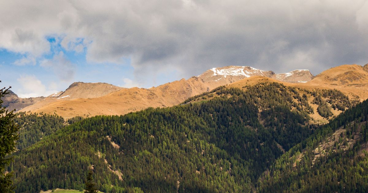 Mezzana Travel Guide Mezzana Tourism KAYAK