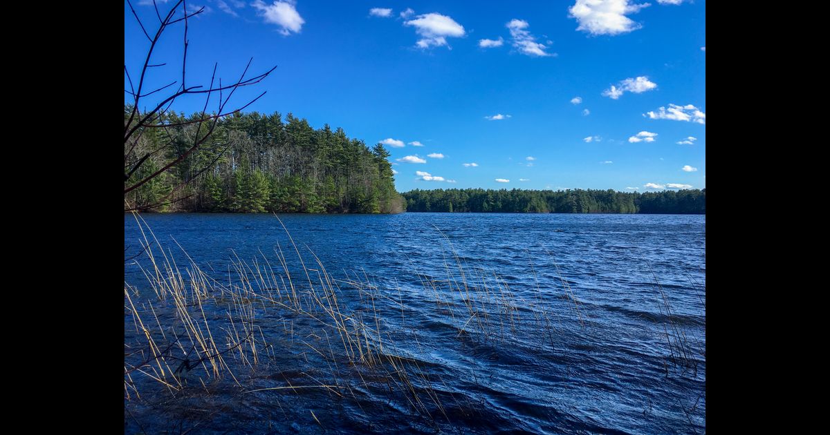 Hertz Car Rentals in Raynham from 24/day KAYAK