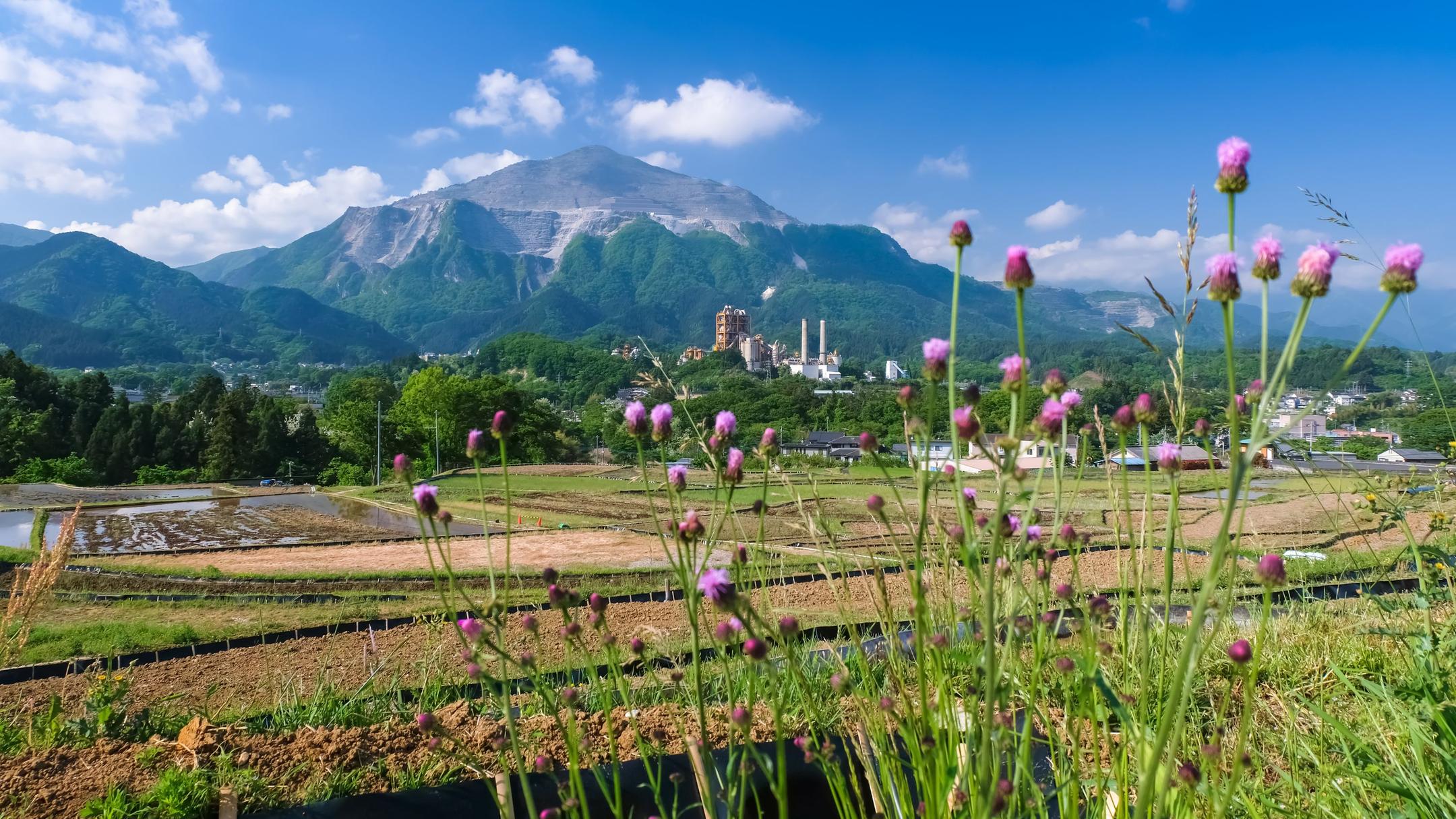 Location de voitures à Préfecture de Saitama Recherchez des voitures