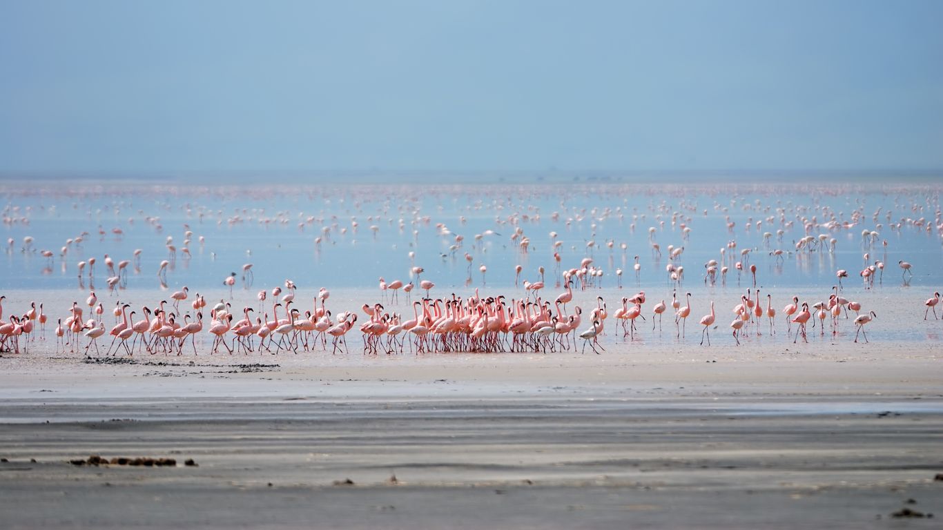 Hoteller i Lake Manyara