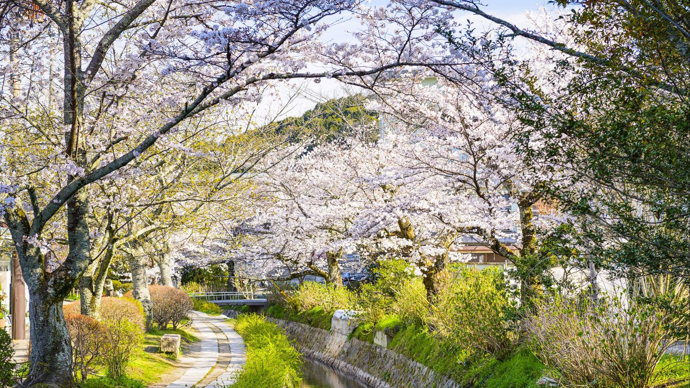 Sakyo Sakyo