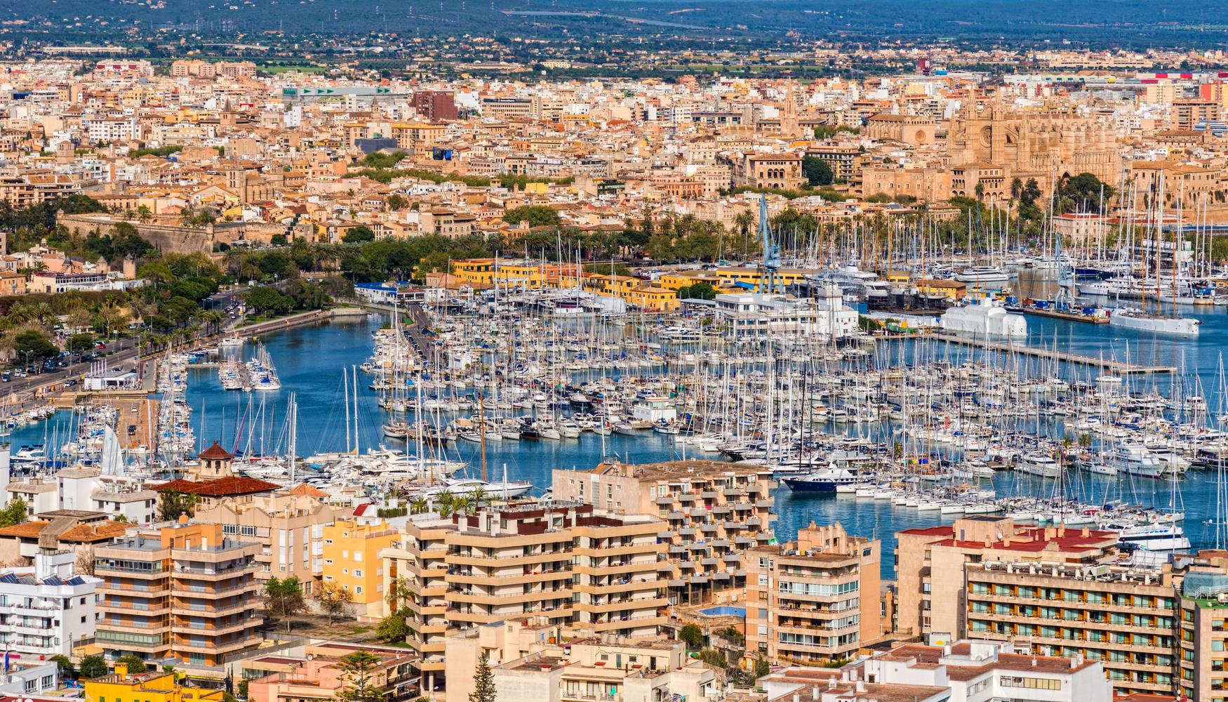 Location De Voiture A L Aeroport Palma De Majorque Des 12 Par Jour Kayak Location De Voiture A L Aeroport Palma De Majorque Des 12 Par Jour Kayak