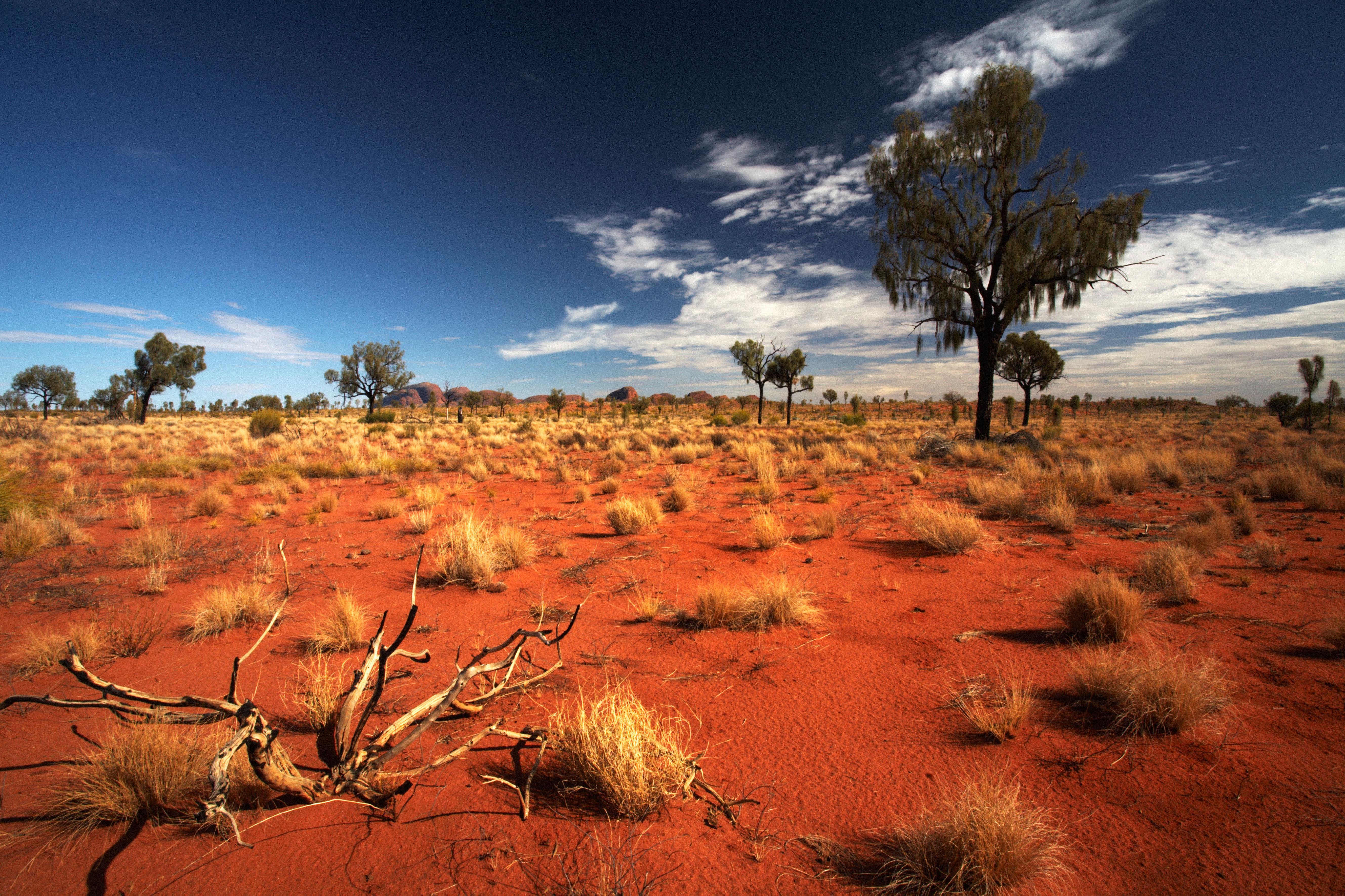 Cheap Flights from Sydney to Uluru Ayers Rock from 259 SYD