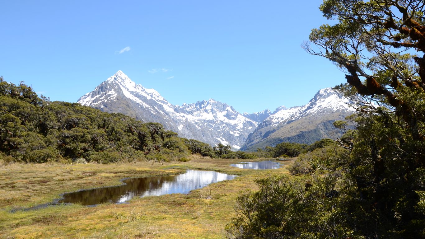 Hotels in Fiordland