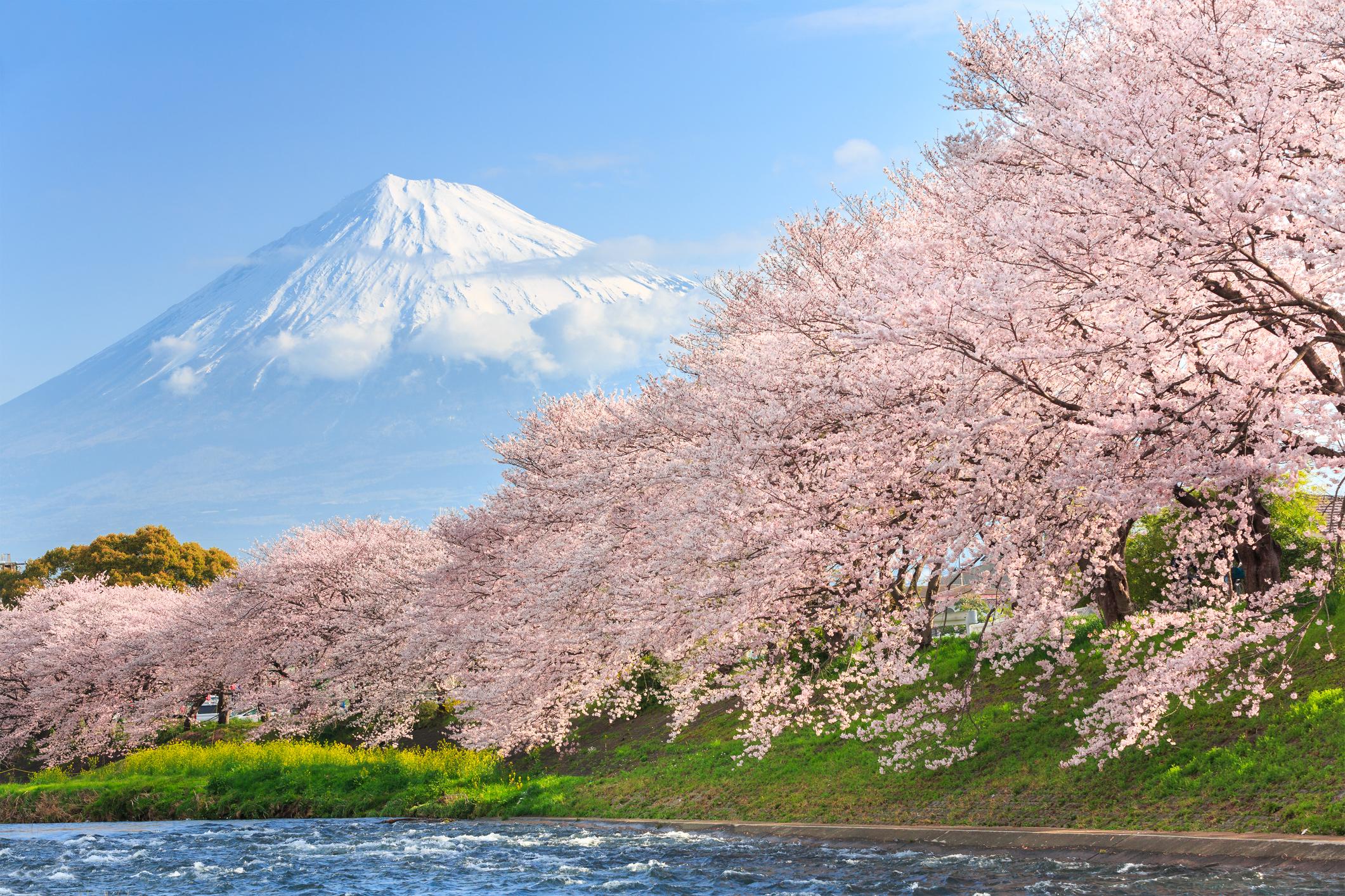 Flights from Los Angeles to Tokyo from 263 Priceline