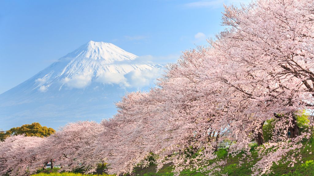 567€ Voli economici da Cagliari per Aeroporto di Tokyo Haneda (CAG ...
