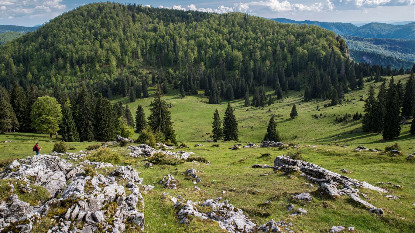 Vacances a Transsilvània