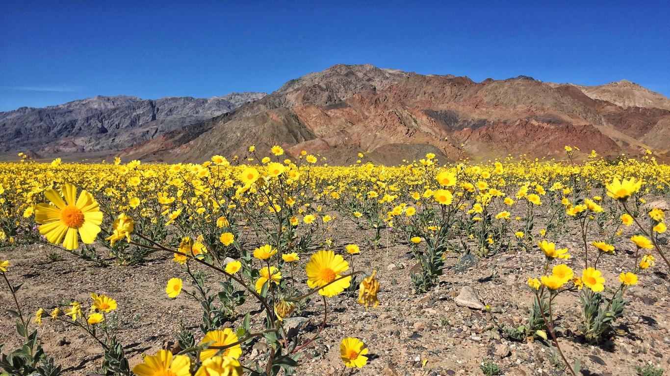 Férias em Pahrump