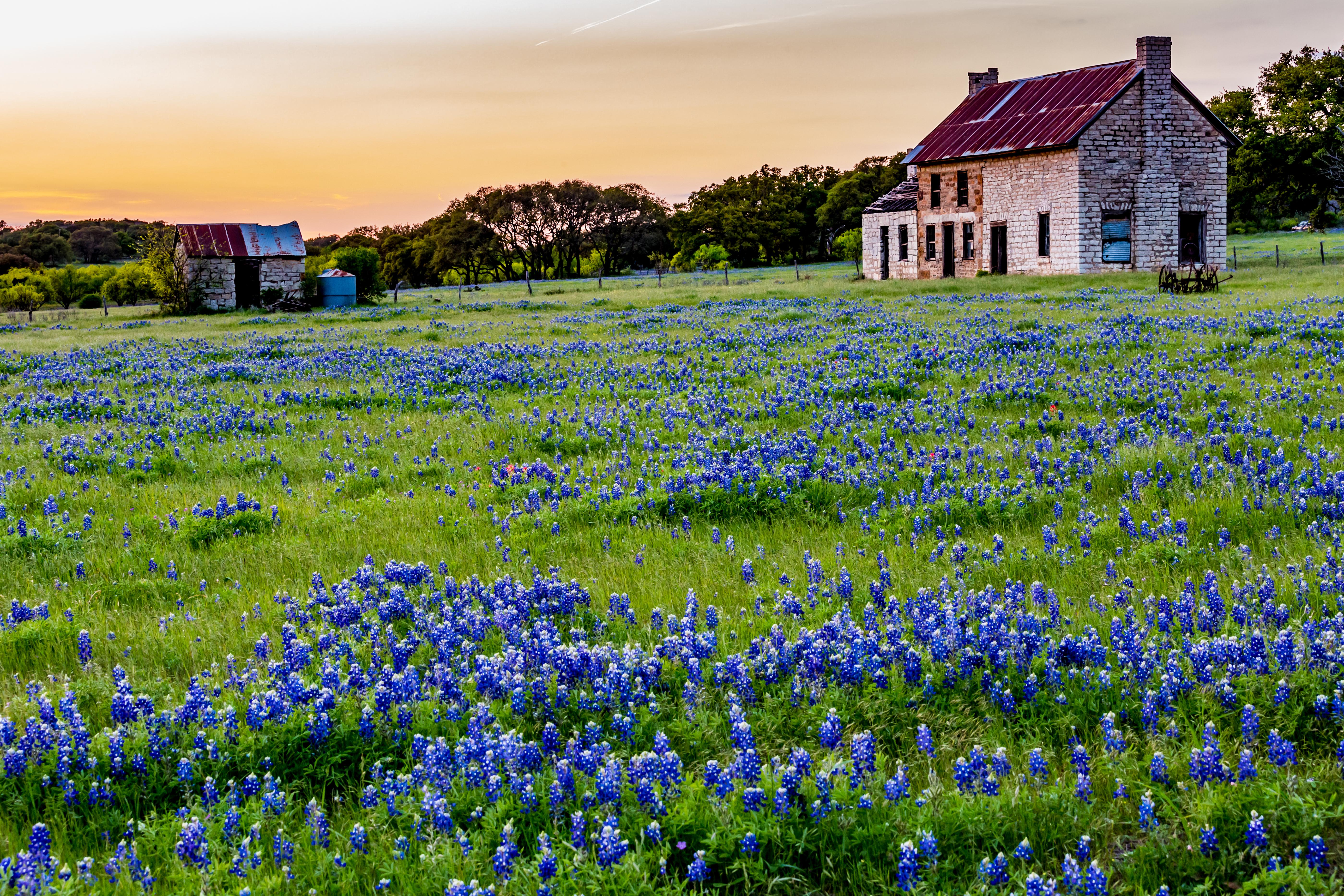 Cheap Flights from Pennsylvania to Texas from 39 KAYAK