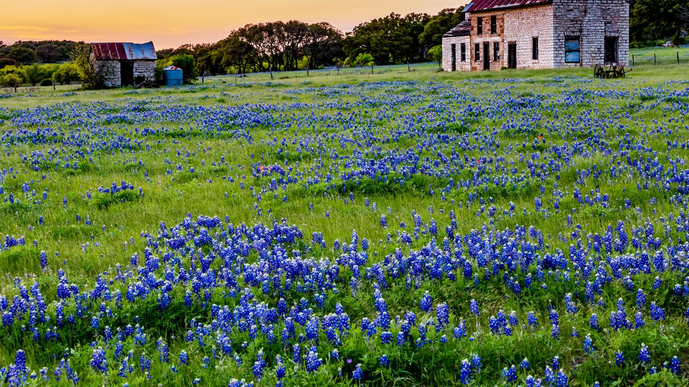 Holidays in Texas