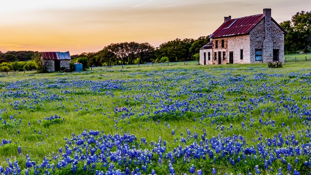 Texas Spring Holiday Texas holiday packages from £110 | KAYAK