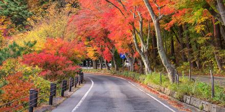 富士吉田市の人気ホテル軒 お得な1泊 2 514 Kayak カヤック
