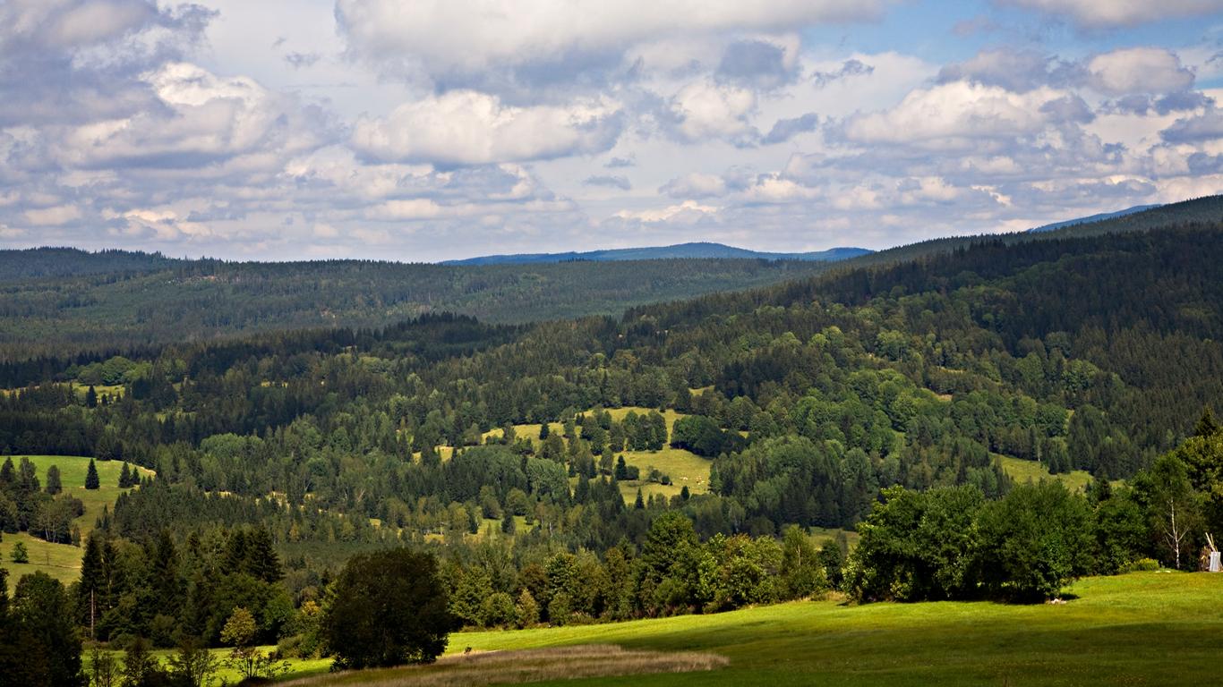 Vacations in Bayerischer Wald