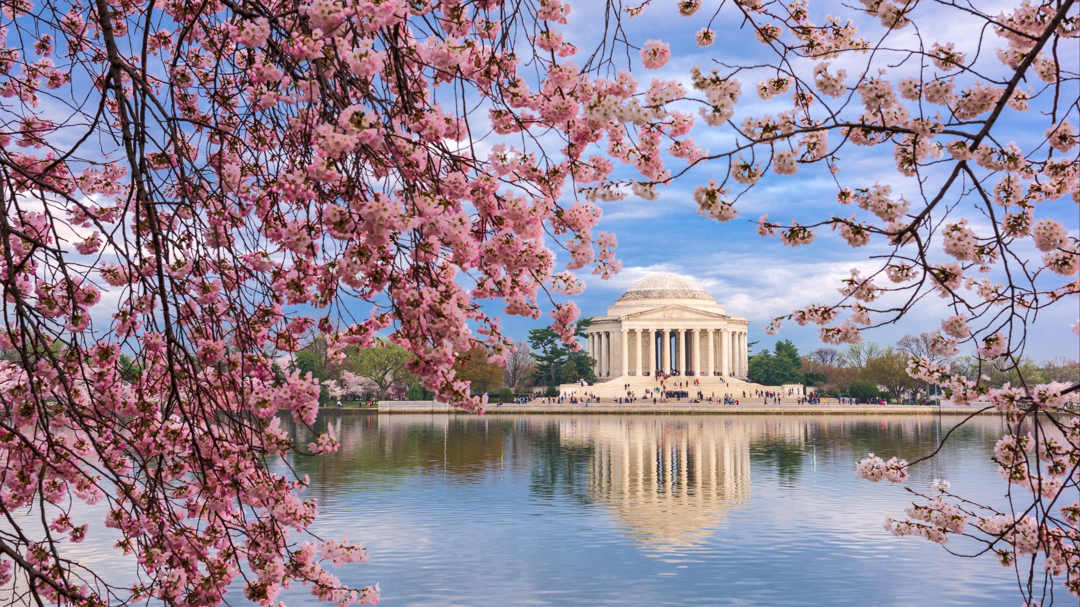 Southwest flights to Washington, D.C. (WAS) from $129 | KAYAK