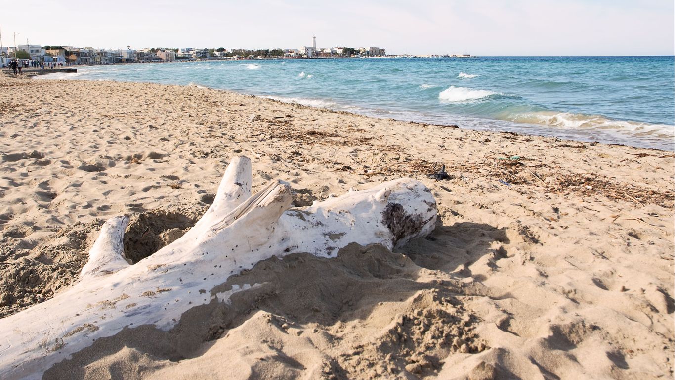 Hoteles en Torre Canne