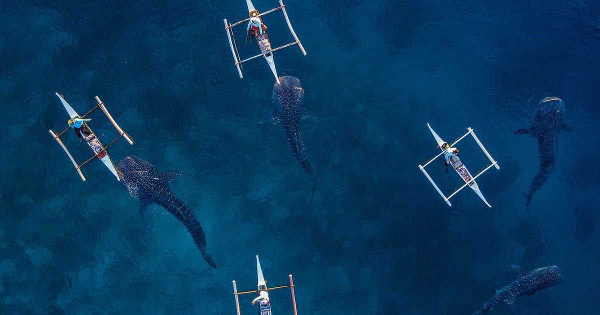 Cebu City holiday packages KAYAK