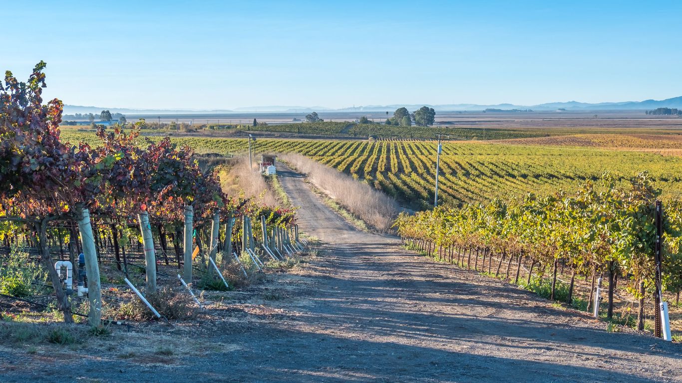 Vacances à Sonoma