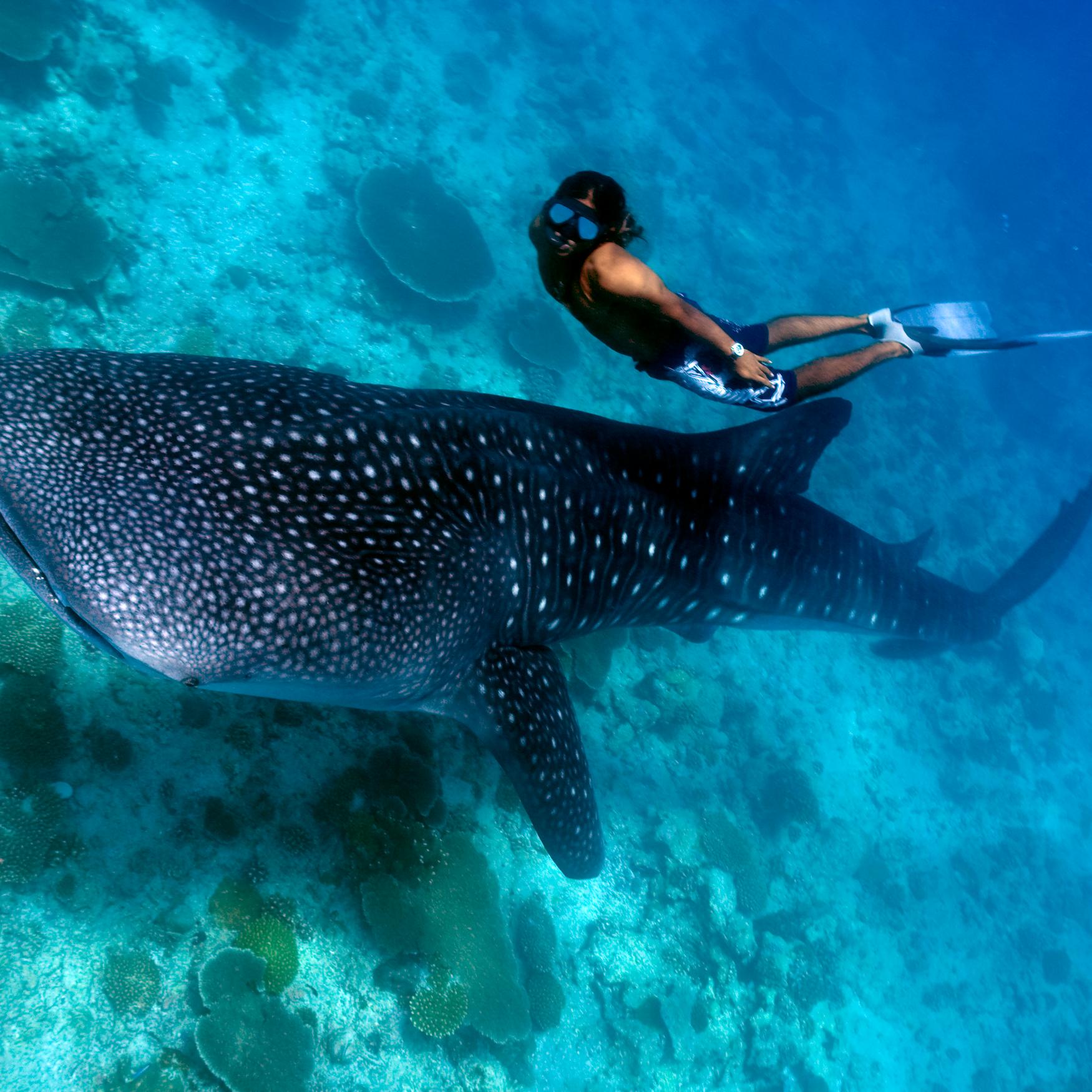 Hotels In Maldives Search For Hotels On Kayak