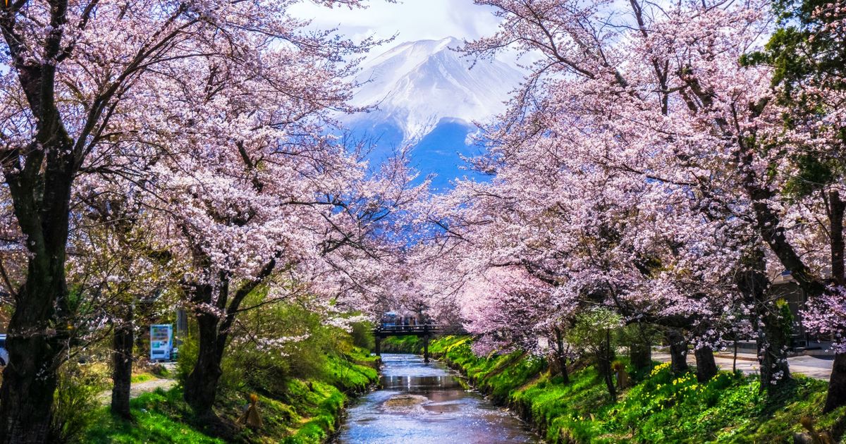 AED 962 Cheap Flights from Dubai to Japan KAYAK