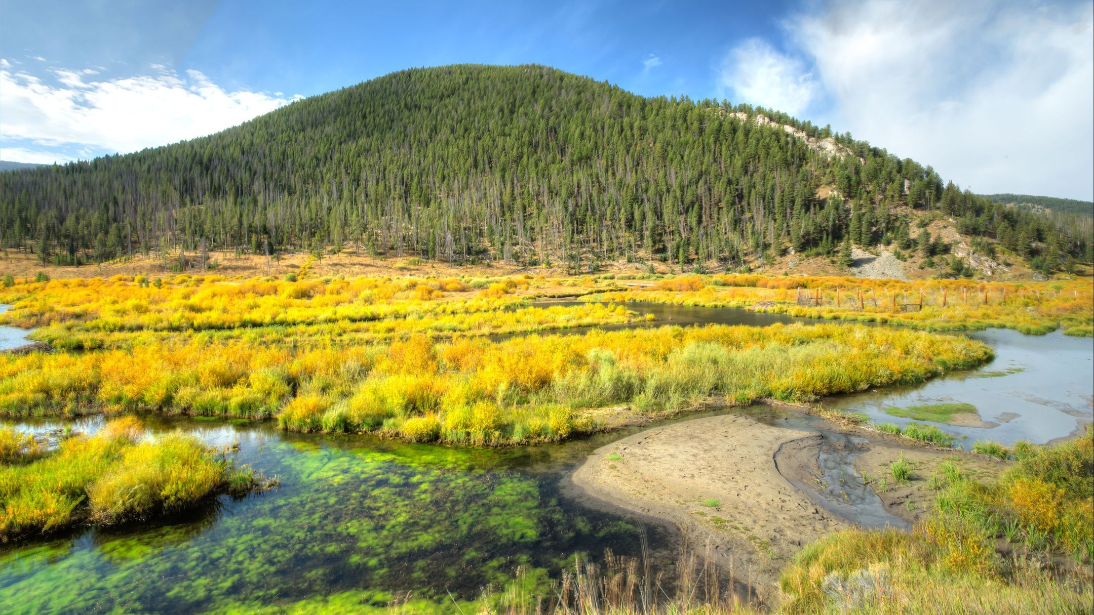 15 Passenger Van Minivan Rental In Bozeman KAYAK 15-passenger-van-minivan-rental-in-bozeman-kayak